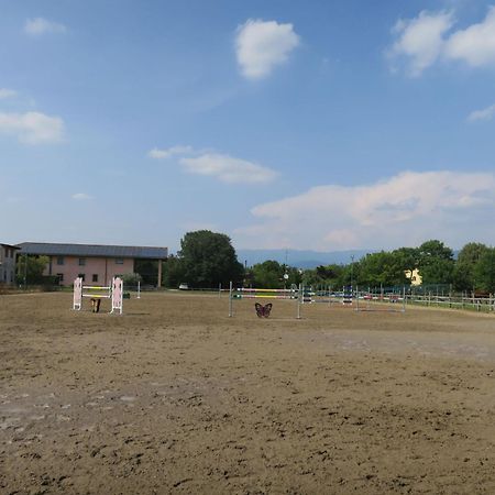 Holiday Home Domus Magna-3 By Interhome Povoletto Dış mekan fotoğraf